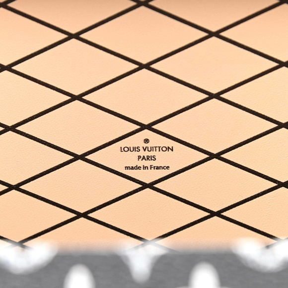 ❌❌ LOUIS VUITTON Catogram Petite Malle b&w Trunk Crossbody Bag Grace Coddington - Picture 7 of 10